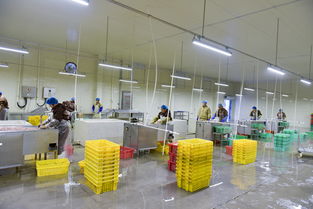 建了1个加工厂 富了3个贫困村——顺富医药的乡村振兴实践