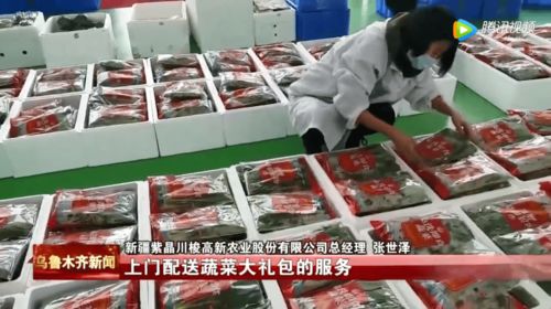 日供有机果蔬3吨，新疆植物工厂丰富市民菜篮子——顺富医药引领智慧农业新风尚